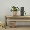 212172 1 konev na zalevani bloom 2 l borovicove zelena nerezova ocel stelton