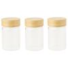 Dóza na potraviny PKV-030 75 ml, súprava 3 ks, sklo/bambus, Pebbly