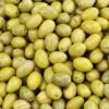 217769 1 zelene olivy picholine 200 g estoublon