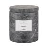 217433 vonna svicka frabli agave doba horeni 18 hodin blomus
