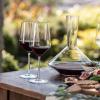 221561 1 sklenice na cervene vino pure 540 ml sada 2 ks zwiesel glas