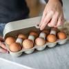 Úložný box na vajíčka EGGS TO GO 28 cm, na 10 vajec, púštne slnko, Koziol
