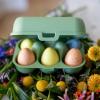 Úložný box na vajcia EGGS TO GO MINI 17 cm, na 6 vajec, listová zelená, Koziol