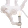Závesná lampa MONKEY SWING 59 cm, biela, Seletti