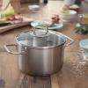 Vysoký kastról VISEO 20 cm, strieborná farba, nerezová oceľ, Fissler
