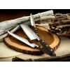 Nôž Santoku IDÉAL 18 cm, mosadzné nity, čierny, Lion Sabatier